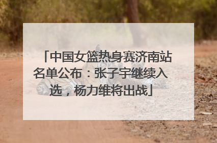 中国女篮热身赛济南站名单公布：张子宇继续入选，杨力维将出战